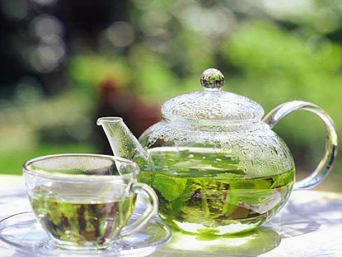Почему нужно пить зеленый чай