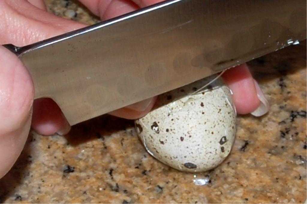 Химический состав скорлупы перепелиных яиц