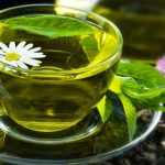 Чем полезен зеленый чай для организма