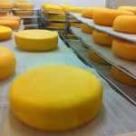 Самый лучший сыр: обзор, особенности, состав и свойства