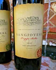 Итальянское вино Санджовезе: описание аромата, отзывы