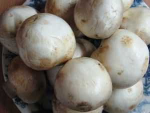 Нужно ли варить грибы перед жаркой