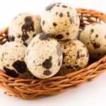 Перепелиные яйца: состав, полезные свойства, пищевая ценность и калорийность