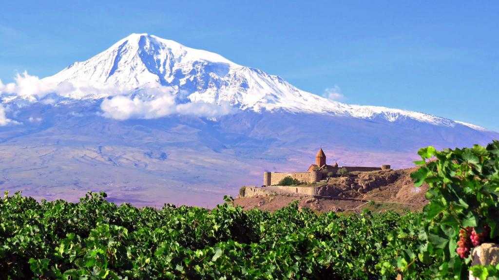 Виноградники Армении