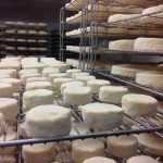 Как делают сыр с плесенью: ингредиенты и рецепты. Сыр с плесенью: польза и вред