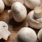 Заливной пирог с грибами и картошкой: ингредиенты, рецепты