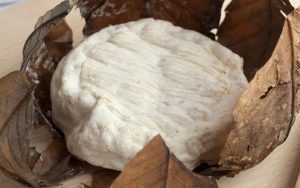 Самый вонючий сыр: разновидности и описание