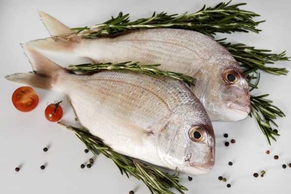 Из какой рыбы можно приготовить тройную уху