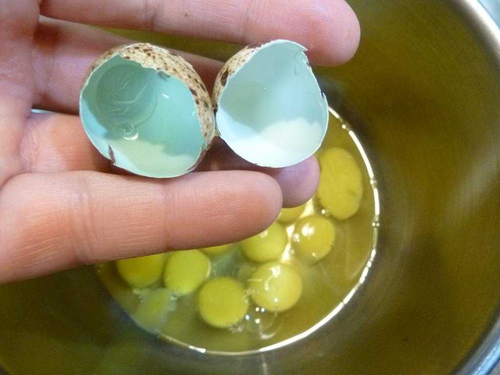 Полезные свойства перепелиных яиц в сыром