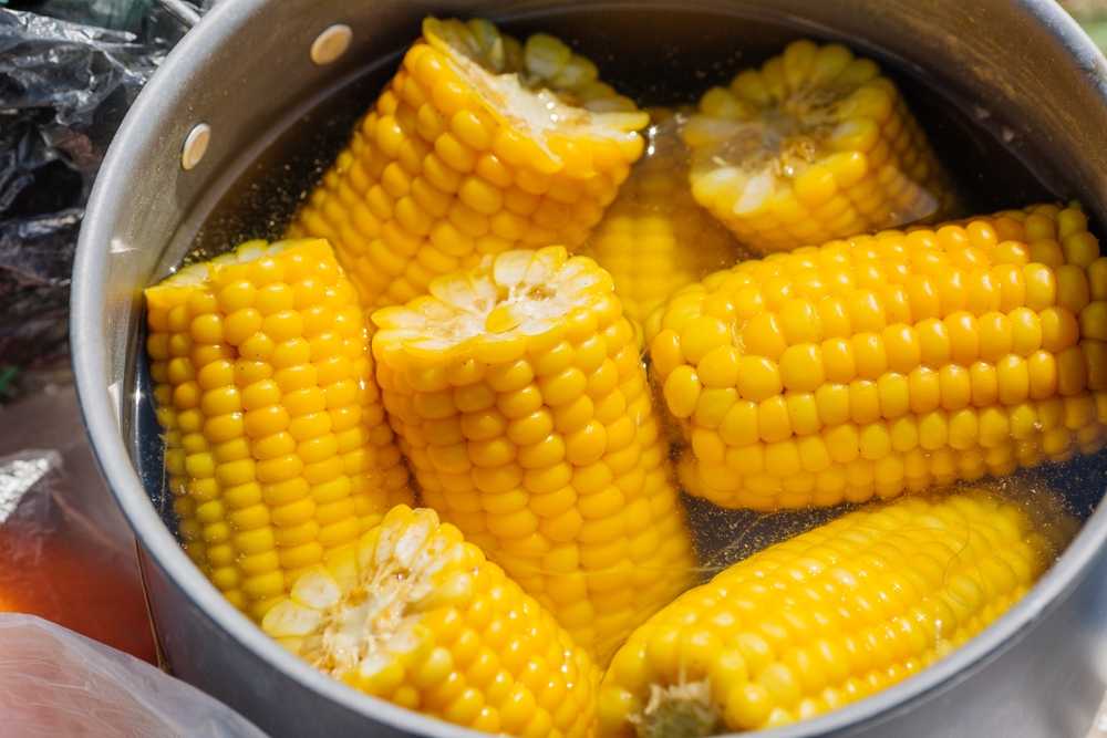 Кукуруза консервированная: польза и вред для здоровья