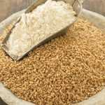 Пищевая ценность и химический состав пшеницы