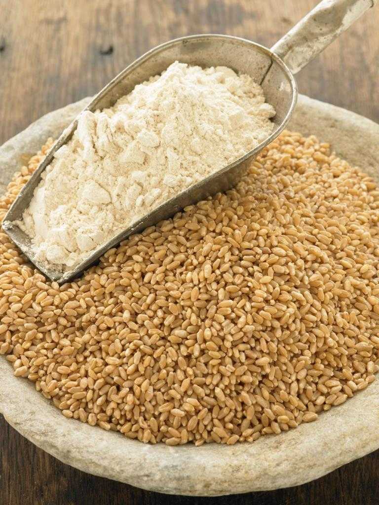 химический состав зерна пшеницы