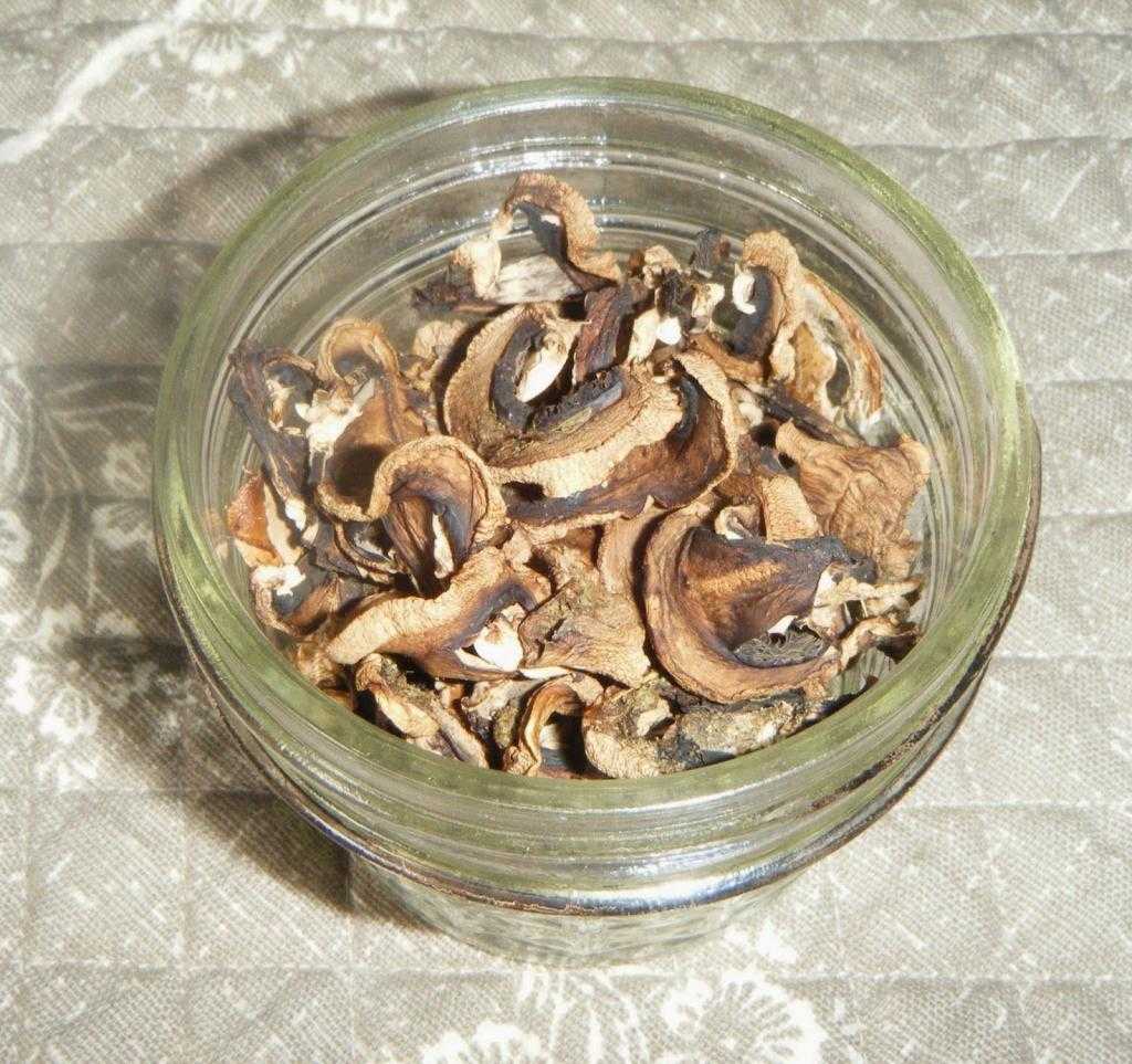 как сушить грибы в сушилке