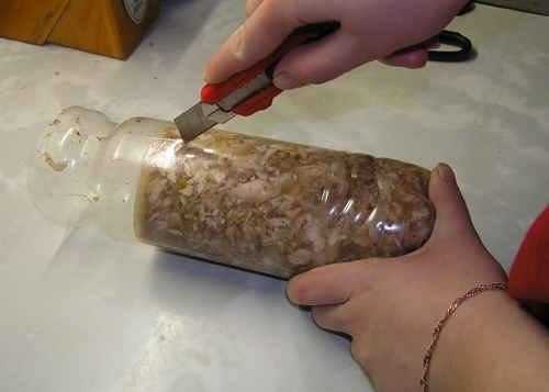Делаем колбасу в бутылке.