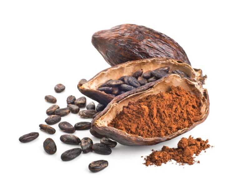 Этапы переработки какао-бобов