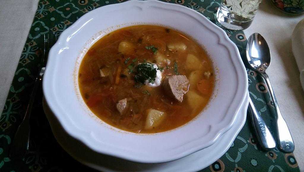 Тарелка супа с мясом косули