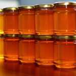 Откуда берется мед и каковы его свойства
