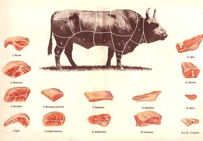 Схема разделывания говядины