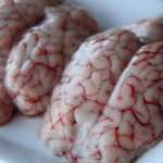 Мозги свиные: рецепт приготовления с фото