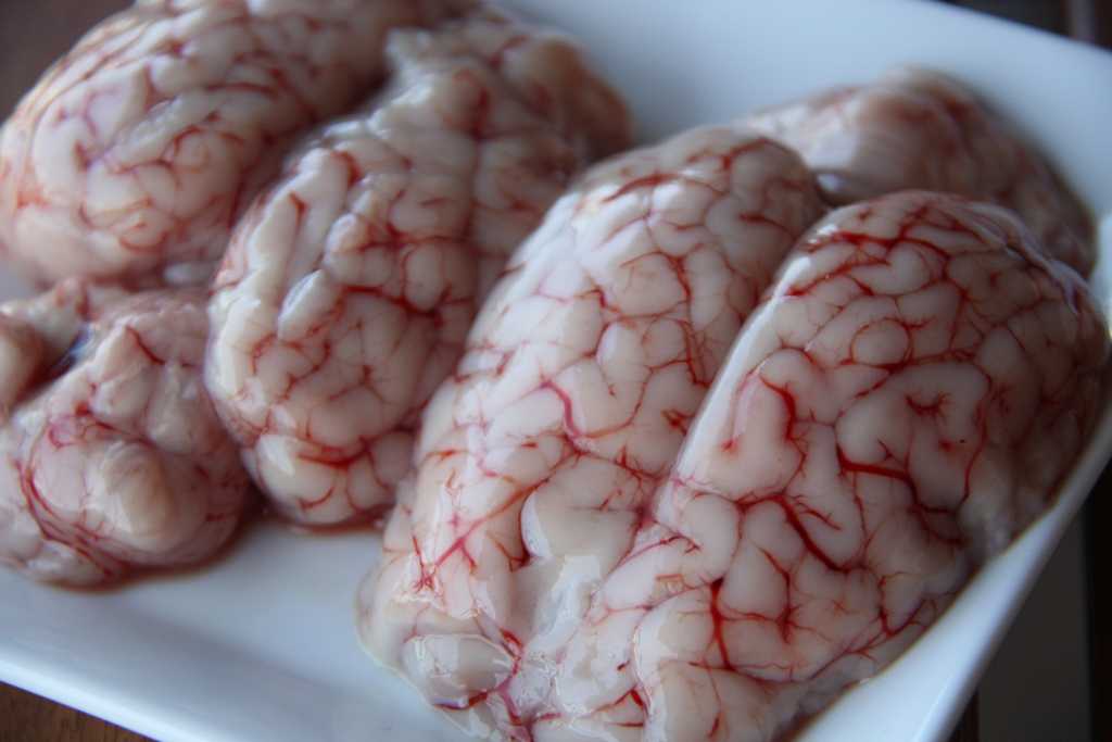 Свиные мозги