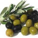 Консервированные маслины: польза и вред для организма, свойства, калорийность