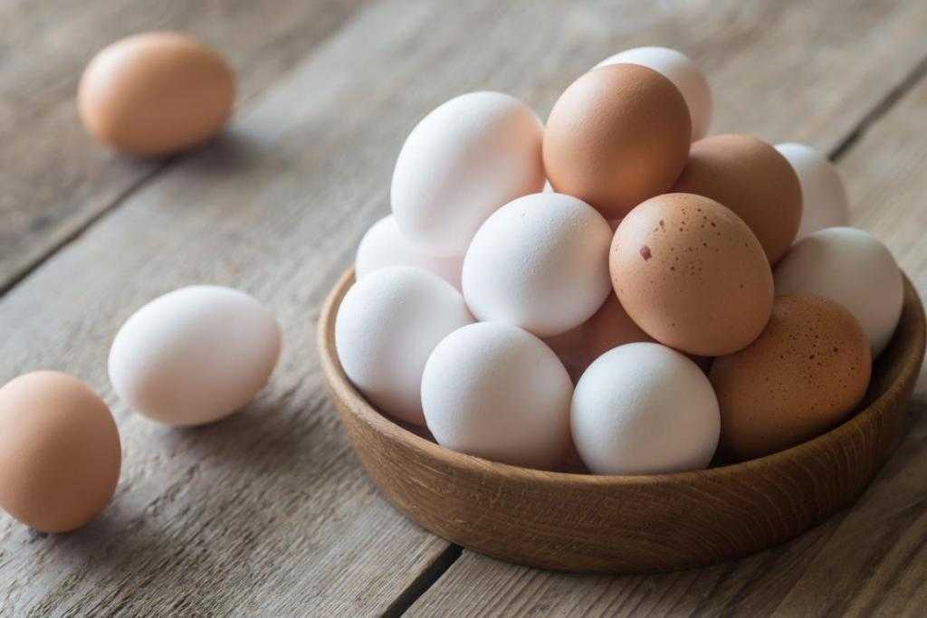 польза яиц для организма