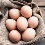 Яйцо «С1»: вес, характеристика, правила выбора, польза и вред