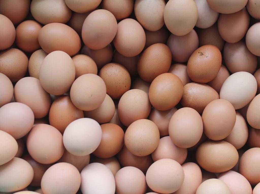 яйцо химический состав и пищевая ценность