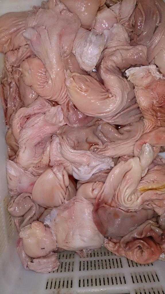 Как почистить свиной желудок в домашних