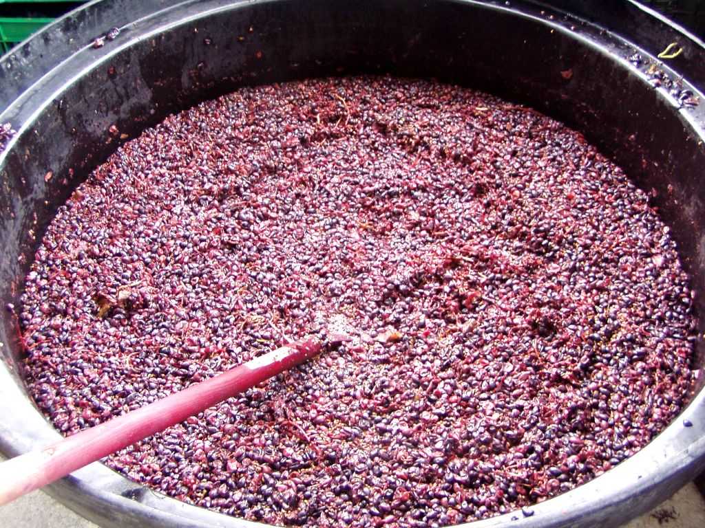 Ферментация красного вина