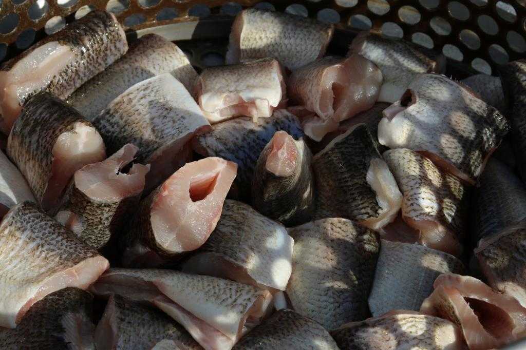 сколько нужно варить рыбу