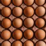 Какие яйца лучше? С1 или С0? Виды яиц и их классификация