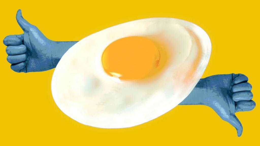польза домашних яиц