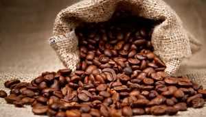 Самый вкусный кофе в зернах: названия марок, особенности обжарки и правила приготовления