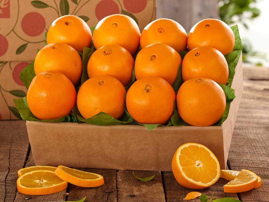 Какие бывают апельсины?