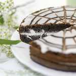 Вкусный и легкий торт с черемухой: рецепт приготовления с фото