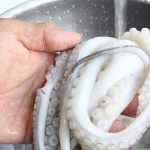 Как приготовить щупальца осьминога: рецепт с фото, вкусно и просто