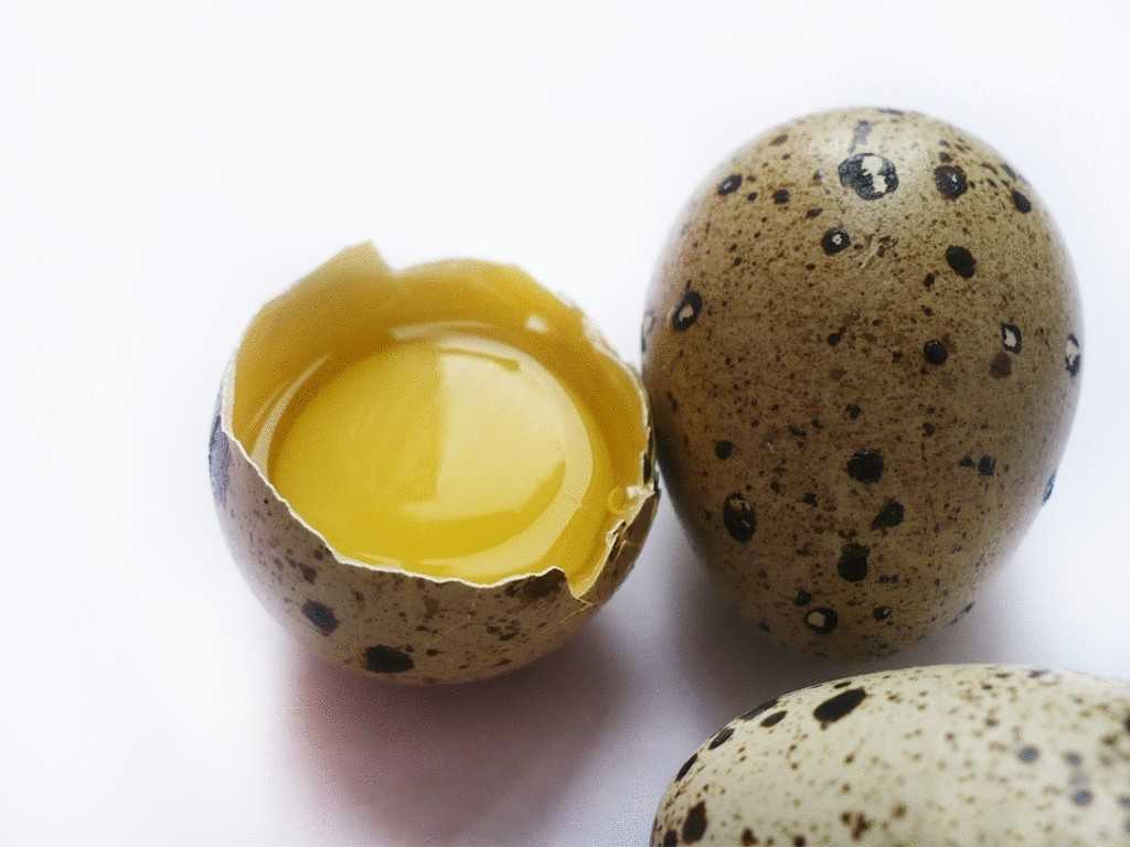 желток яйца