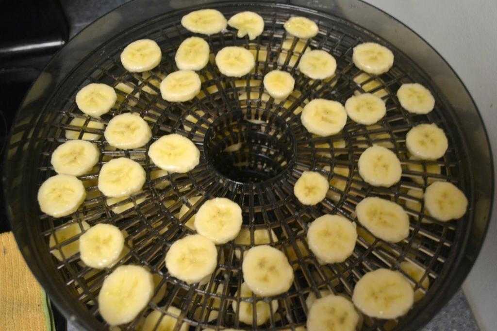 Бананы в сушилке