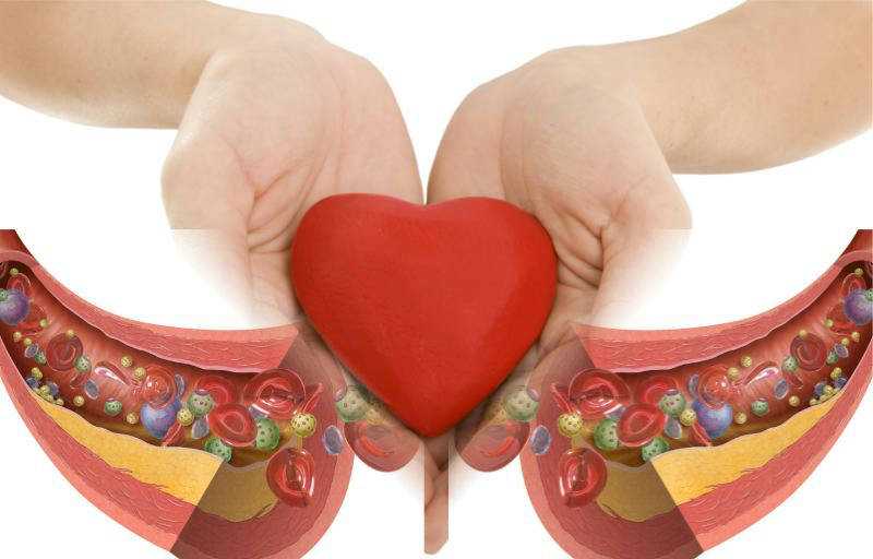 Здоровые сердце и сосуды