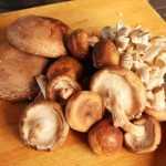 Древесные грибы: польза, свойства, рецепты приготовления