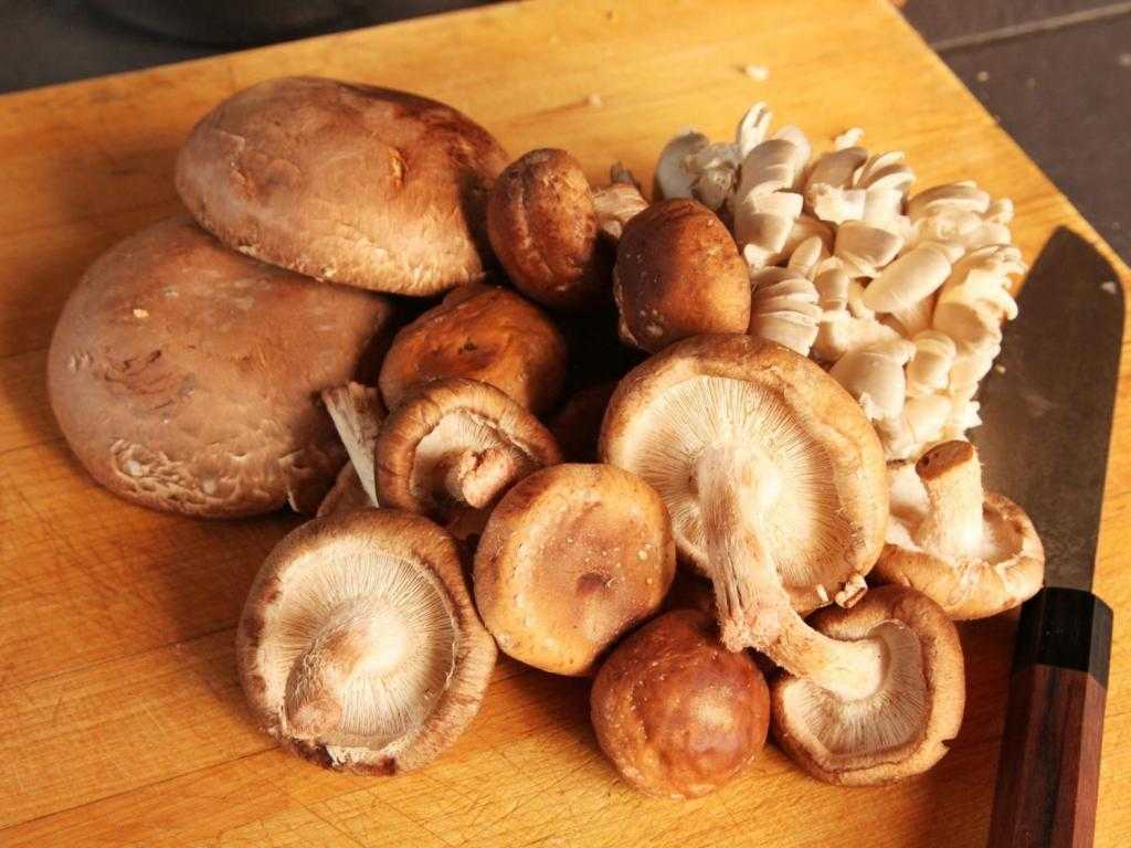 салат с древесными грибами