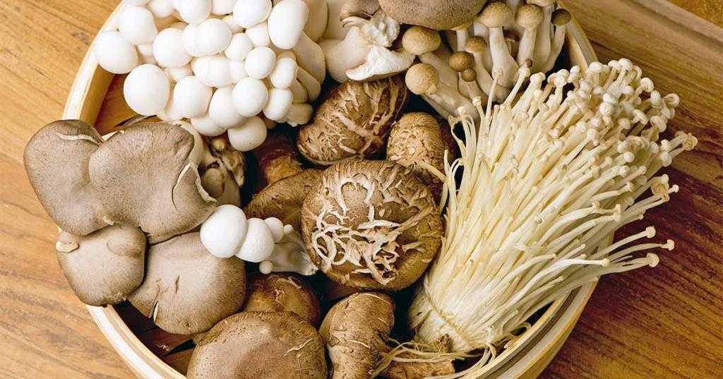 как готовить древесные грибы