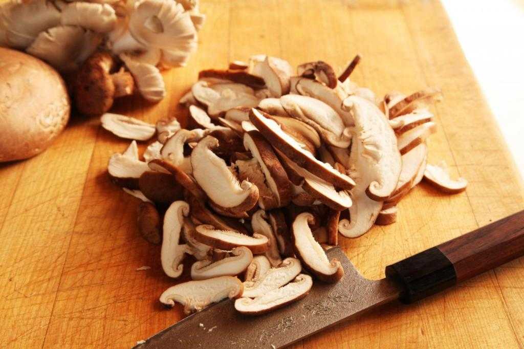 съедобные древесные грибы