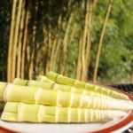 Побеги бамбука: состав, полезные свойства, рецепты