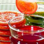 Коктейли с томатным соком: рецепты приготовления миксов